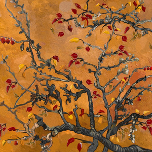 2015小明永远免费观看
